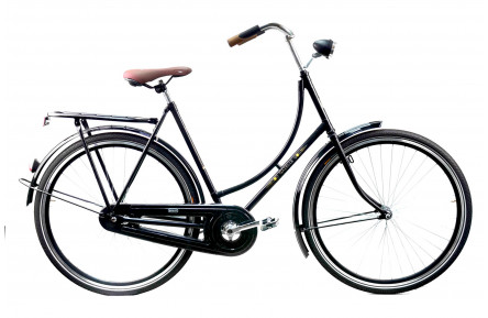 Woman`s bicycle Gazelle Classic
