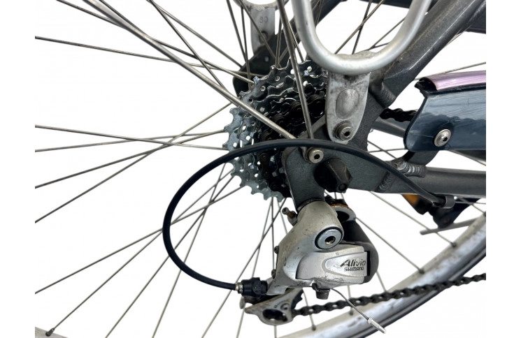 Woman's bicycle Gazelle Medeo 28" 55