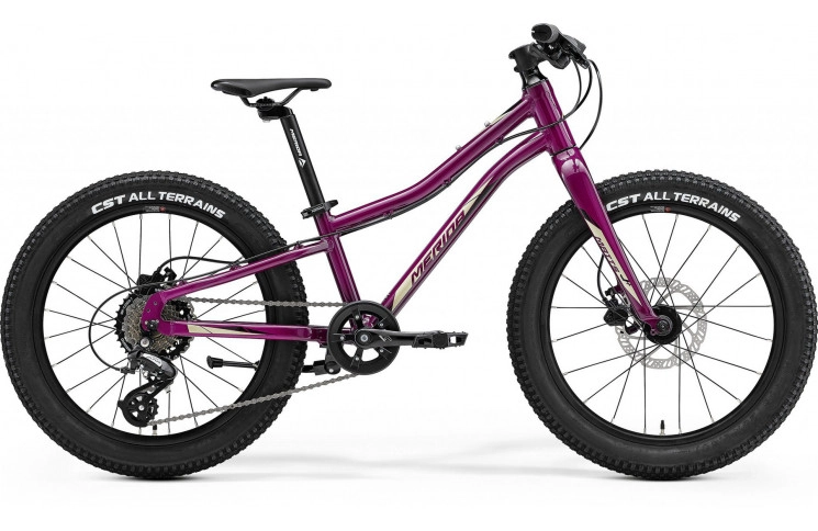 Merida MATTS J 20"/24cm/7ver/Paars/2023/A62211A02039