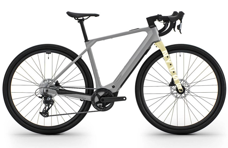 CONWAY Elektrische allroad Nyvon 12.0 №1 28"/51cm-L/13/metallic grijs mat/02810889