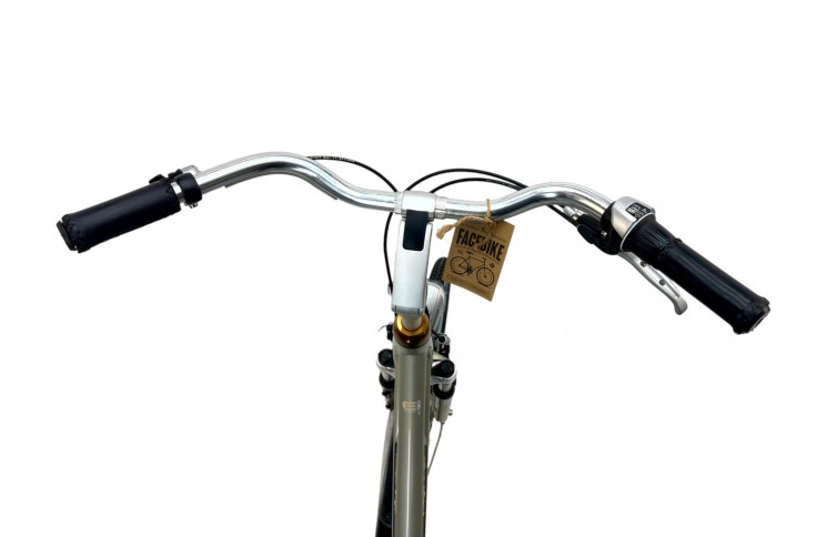 Woman's bicycle Batavus Fuego 28"/53cm/Gray