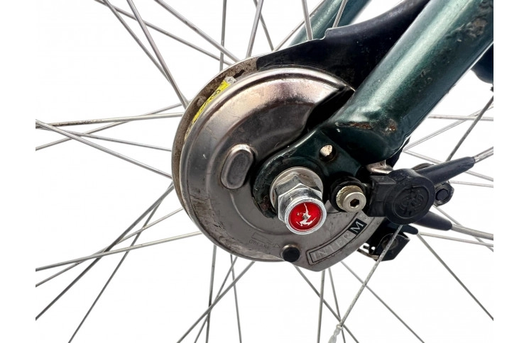 Women's bike Gazelle Davos 28" L/54 green