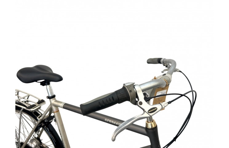 Man's bicycle Batavus Crescendo 28" XL/61 gray-brown