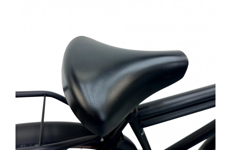 Herenfiets Gazelle Puur NL 28"/54cm/zwart