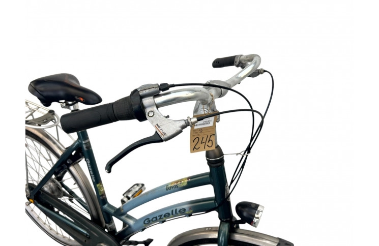 Women's bike Gazelle Davos 28" L/54 green