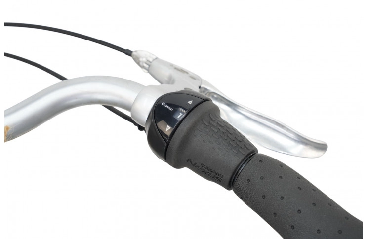 Man's bicycle Batavus Vivente 28"/57cm/gray