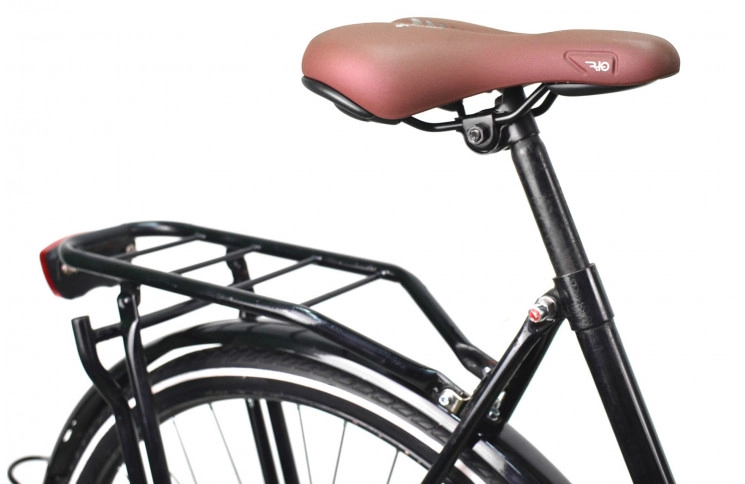 Woman`s bike Gazelle Basic