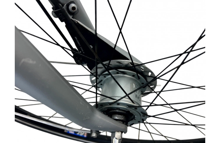 Damesfiets Trek 28"/45cm/grijs