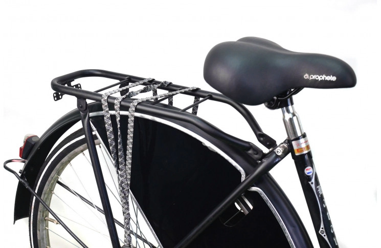 Damesfiets Batavus Old Dutch