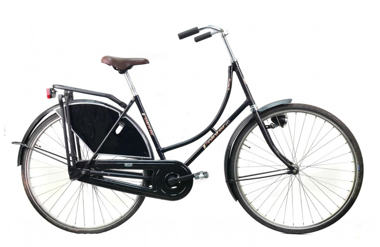 Damesfiets Pointer Glorie