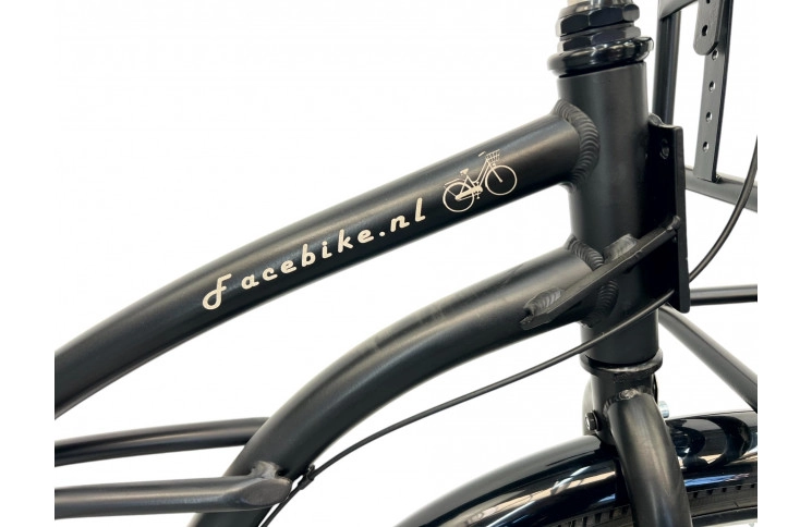 Woman's bicycle FaceBike Nl 28" S/51