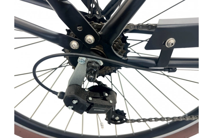 Woman's bicycle Cortego 28" 52