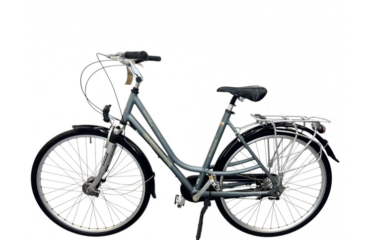 Women's bicycle Batavus Boston 28" 53 gray