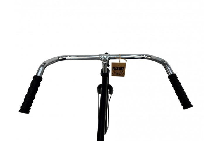 Herenfiets Avalon 28" L/57 mat zwart