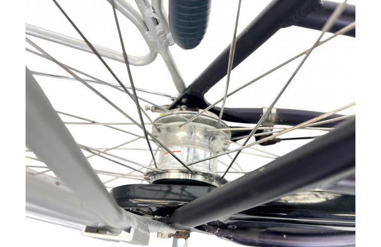 Woman's bicycle Batavus Legato D/al/Blauw/28/F54cm