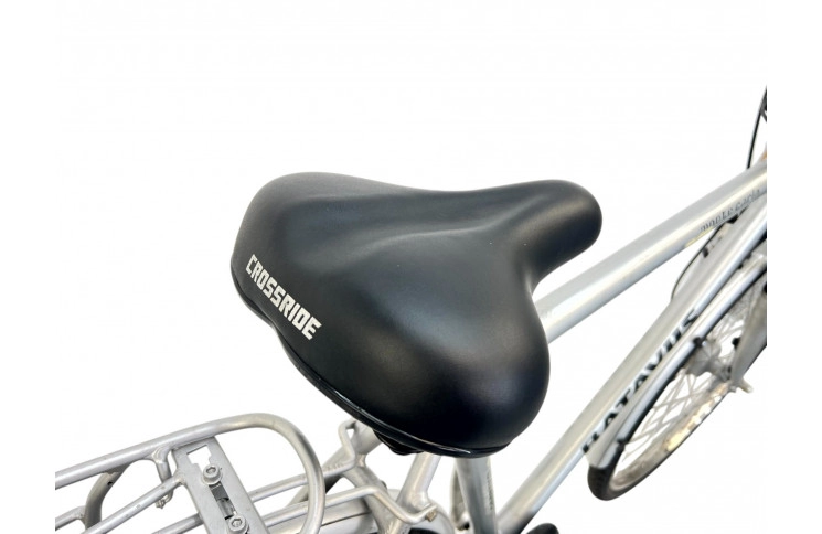 Herenfiets Batavus Montre Carlo 28" 53