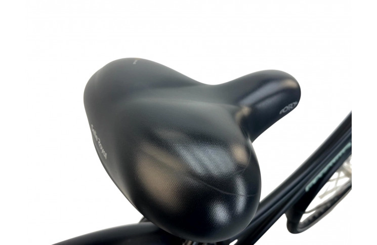 Woman's bicycle Batavus Packd 28"/49cm/black