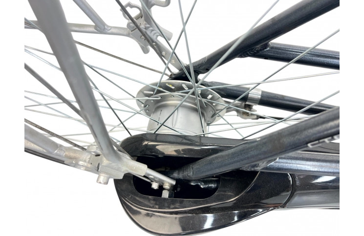 Women's bicycle Rambler 28" M/50 grey-beige