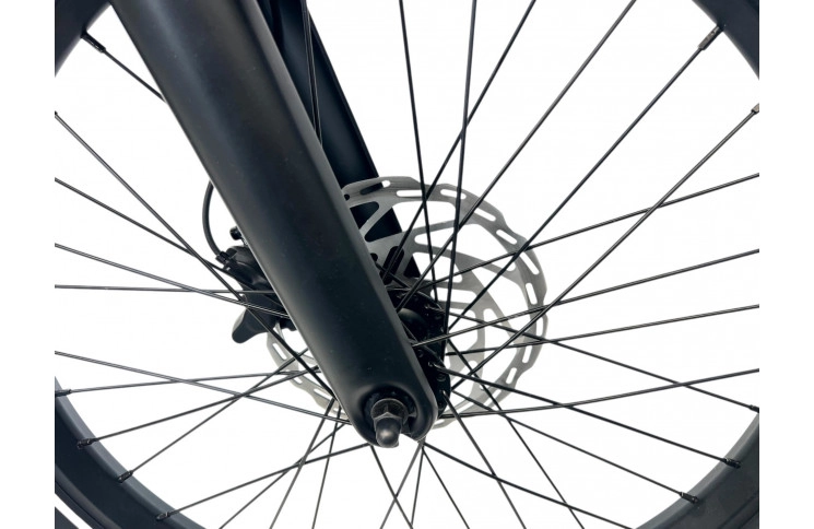 VOGUE E-BIKE WONDER MATT FASHION GREY, 2 accu  9.6/12.8AH