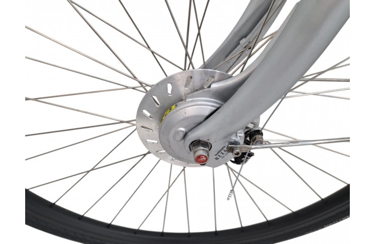 Man's bicycle Gazelle Chamonix 28/61cm/gray