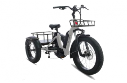 DIABLO E-BIKE, BIG FOOT, FASHION GREY, 2x 1000692 ACCU 48V 10.4AH 499,2WH