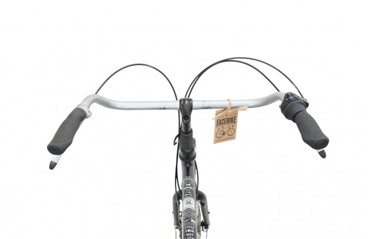 Man's bicycle Gazelle 66 Degrees 28"/61cm/black