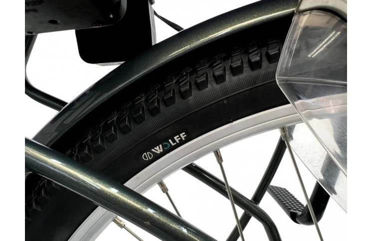 Woman's bicycle Sparta Amazone 26" 48