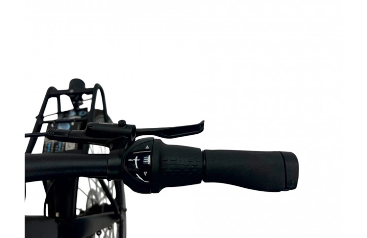 Herenfiets Rabeneick TX7 Carry Gents Shi Nexus 8S / Disc / Gates /50