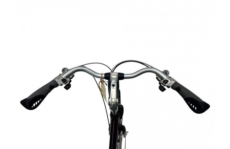 Woman's bicycle Batavus Kayenta 28" 49"