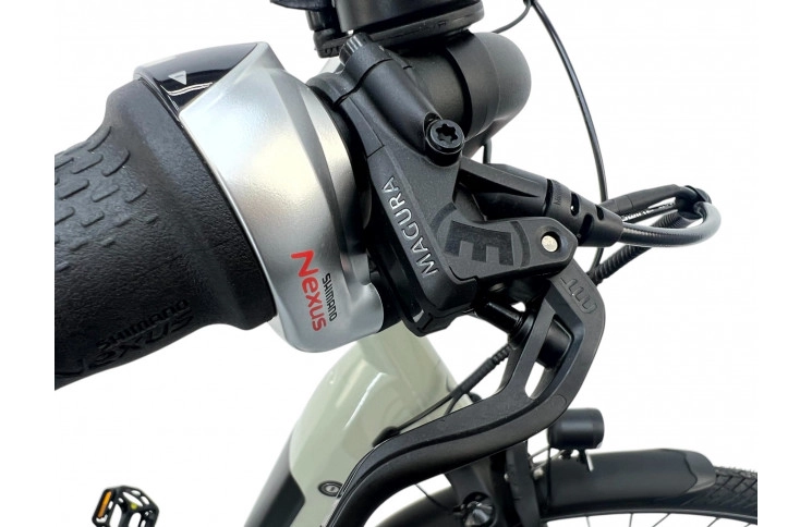 E-Bike VanDijck Leto 7 Chain, 36V18.2Ah 655Wh, 56 sm