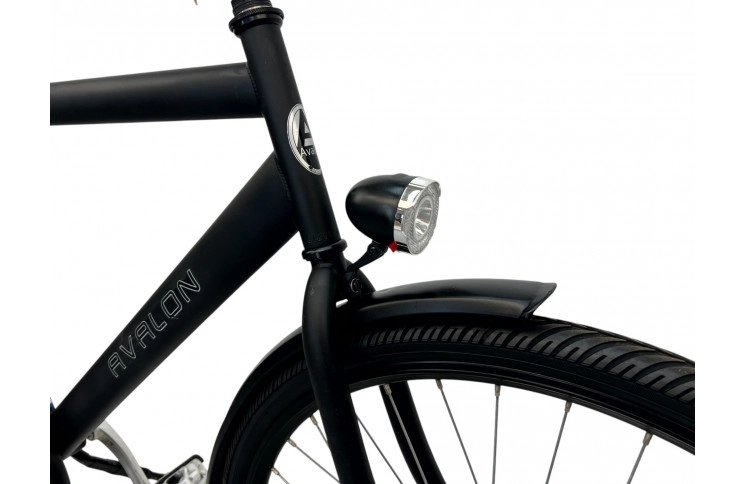 Herenfiets Avalon 28" L/57 mat zwart