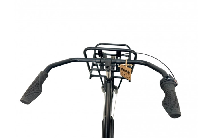 Woman's bicycle FaceBike Nl 28" S/51