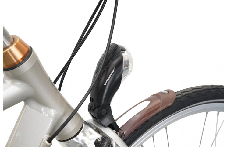 Man's bicycle Batavus Vivente 28"/57cm/gray