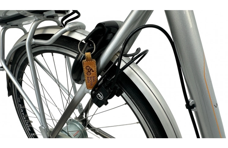 E-Bike Batavus Wayz 28"/53cm/grey/36V 14.5Ah 522Wh