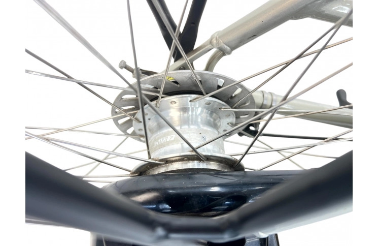 Woman's bicycle Batavus Fuego 28"/53cm/Gray