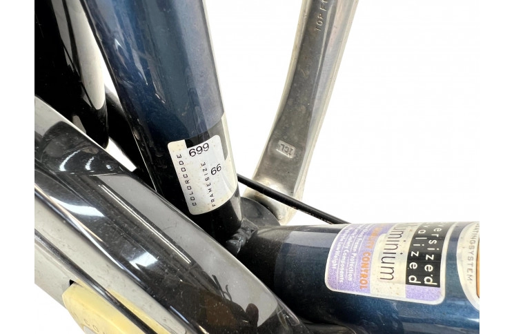 Men's bicycle Batavus Vienna 28" 66 cm gray