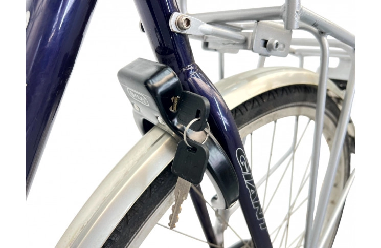 Man's bicycle Giant Freetime m/blue/al/28/sity/61