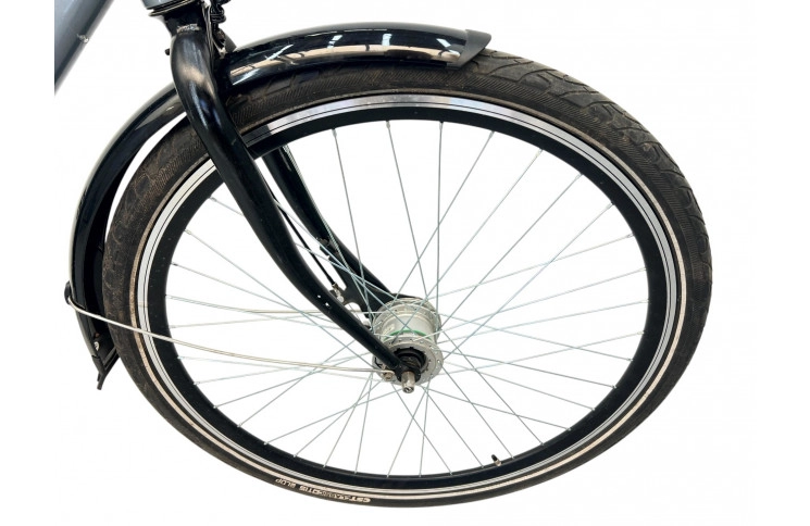 Men's bicycle Batavus Vienna 28" 66 cm gray