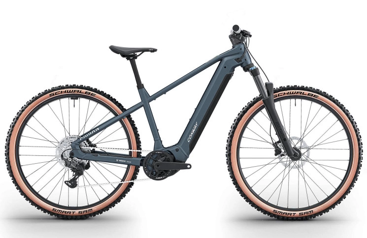CONWAY Electric MTB Hardtail Cairon S 2.0 800 №1 29"/49cm-L/9/anthracite matt/02810632