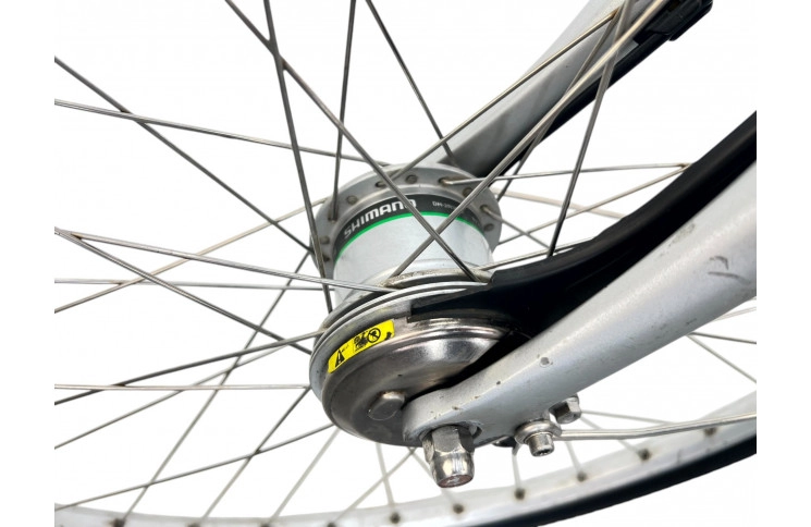 Women's bicycle Batavus Boston 28" 53 gray