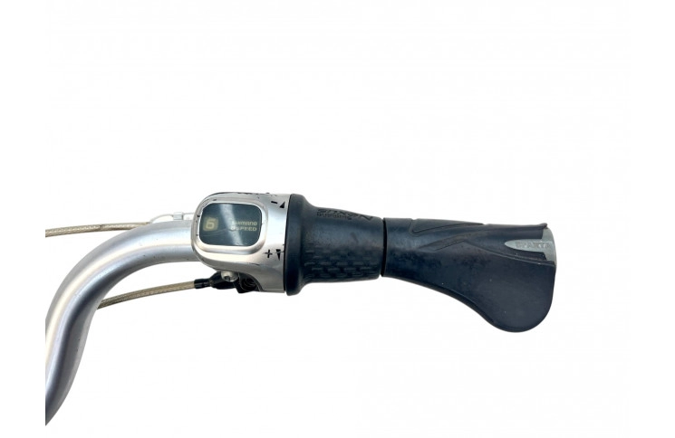 Herenfiets Sparta Campion Man 61 cm