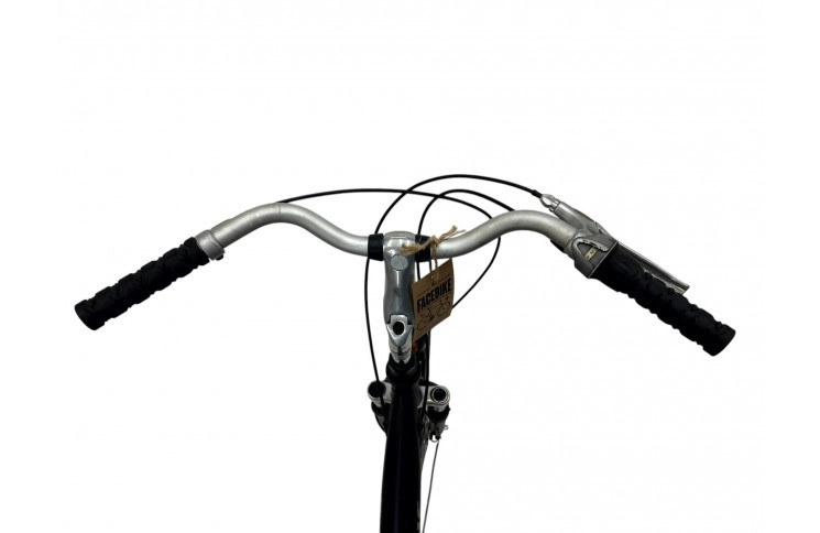 Woman's bicycle Batavus Mambo 28" 54