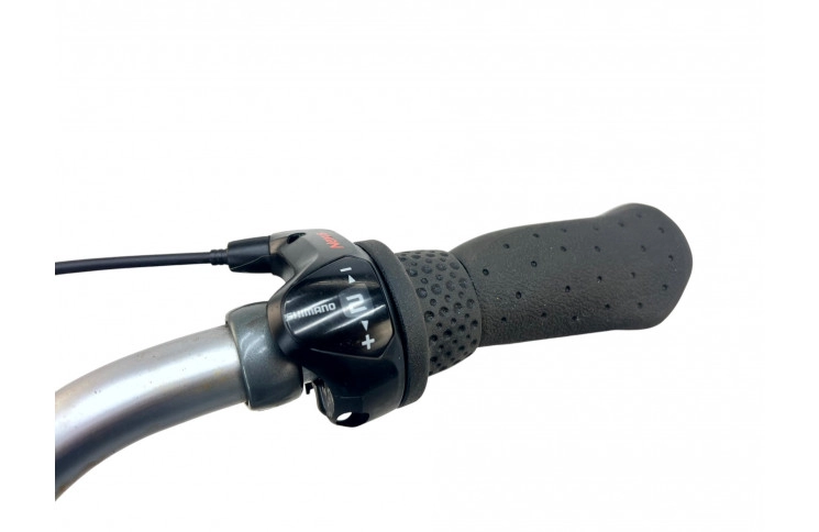 Man's bicycle Gazelle Swing 28"/61cm/gray