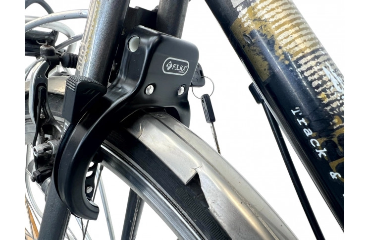 Woman's bicycle Gazelle Medeo 28" 55