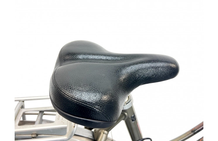 Woman's bicycle Giant Brazil 28" 53