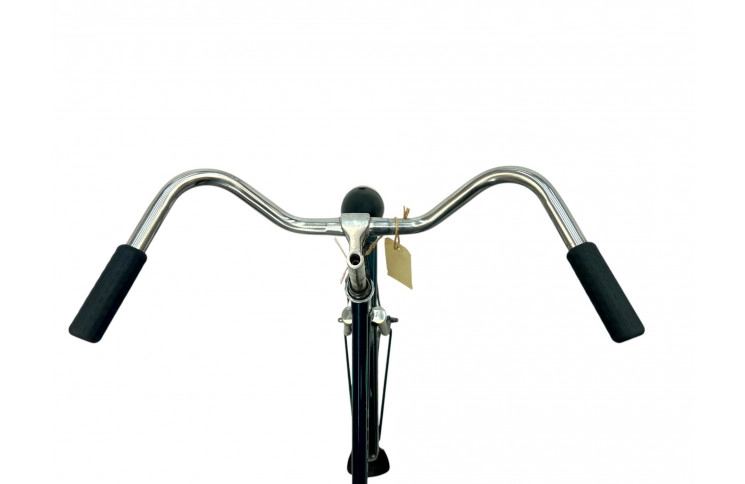 Woman`s bike Gazelle Maxinette 24" 52cm