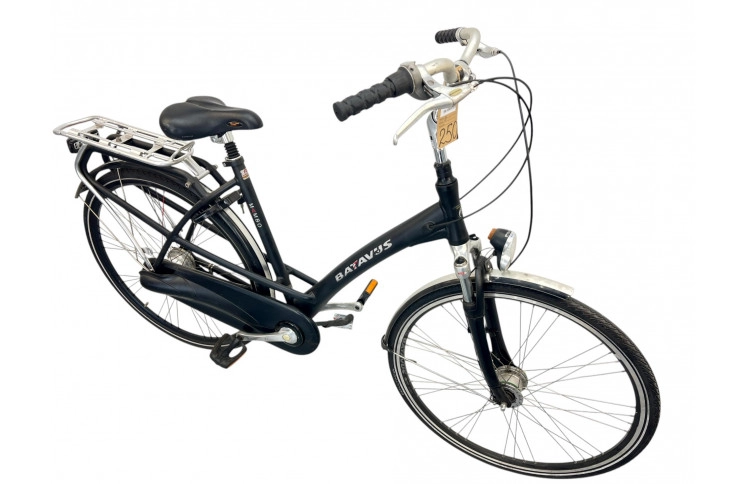 Woman's bicycle Batavus Mambo 28" 54