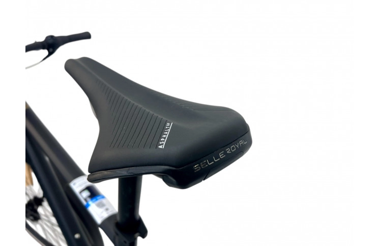 Herenfiets Rabeneick TX7 Carry Gents Shi Nexus 8S / Disc / Gates /50