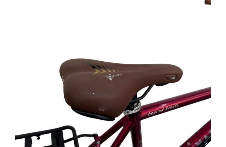 Herenfiets Marathon Ithaka 28" 58