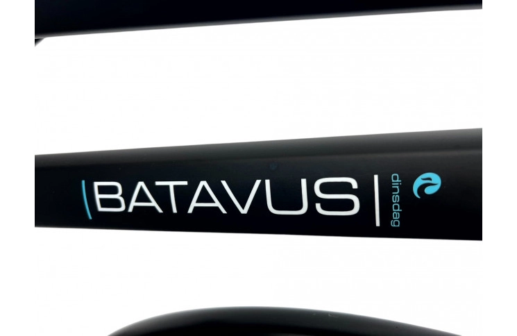 Woman's bicycle Batavus Dinsdag w/al/sity/black/28/f53